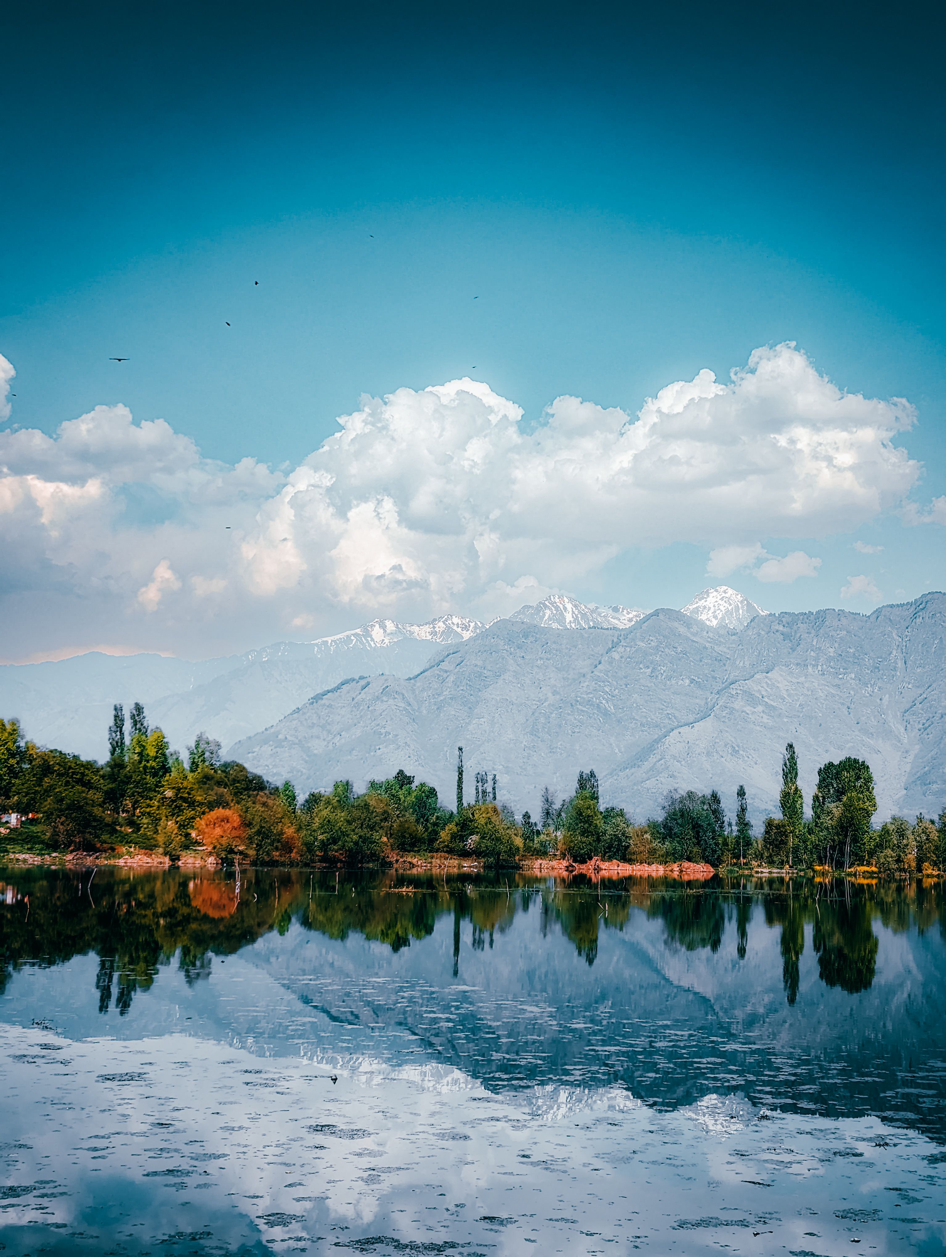 Places to Visit in Srinagar