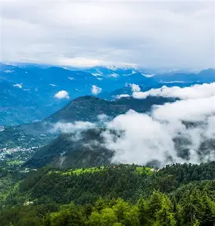 Cochin Munnar Thekkady Kerala Circuit