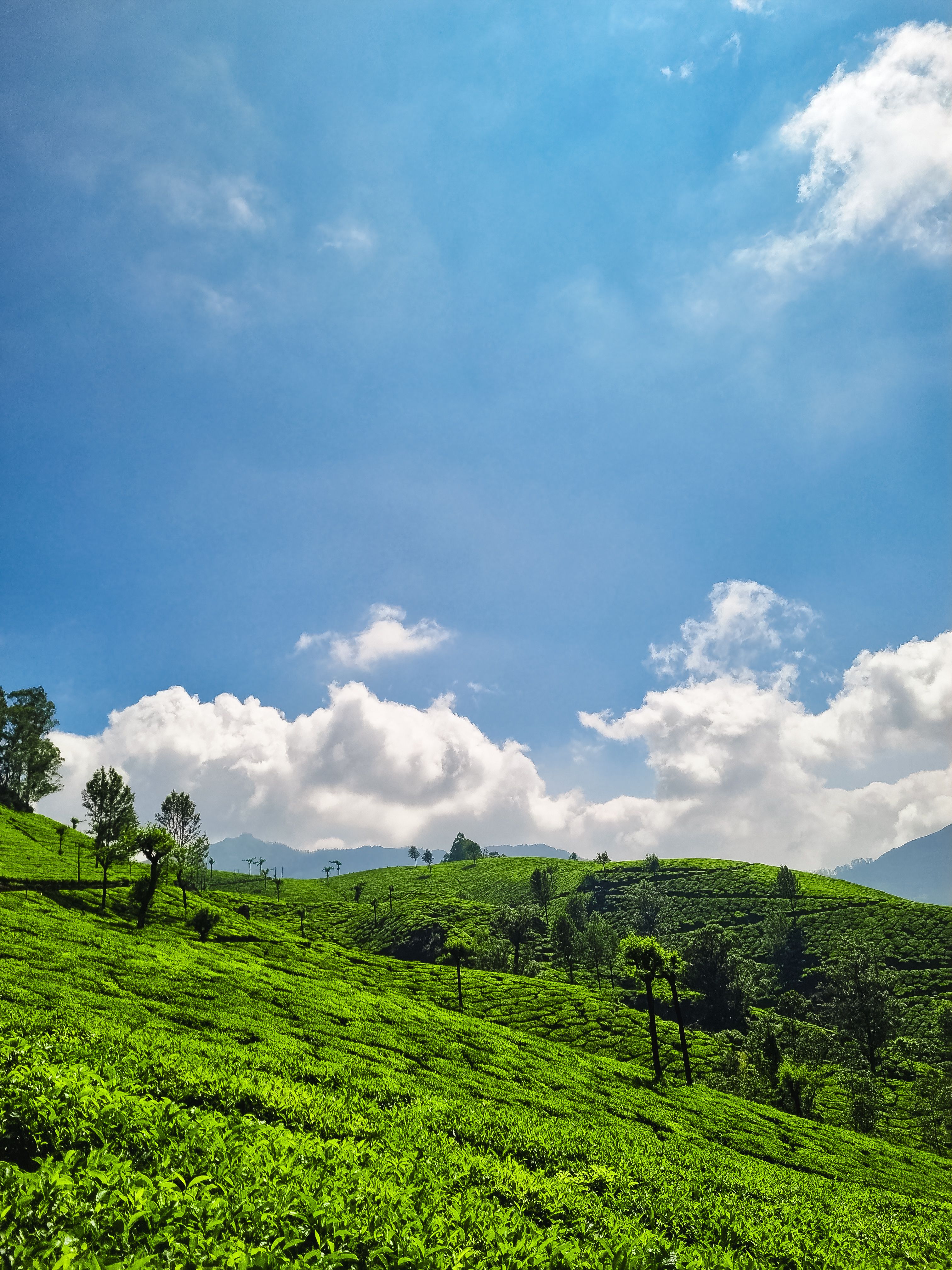 Srinagar Deluxe Honeymoon Package with Gulmarg