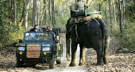 Kanha National Park Wildlife Package